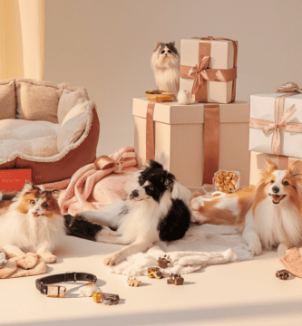 Top 10 Pet Lover Gifts That Pamper Fur Babies