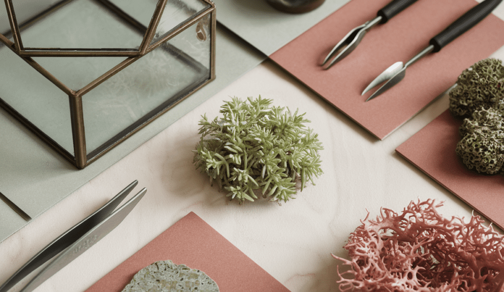 5 Best Gift Ideas for DIY Terrarium Creators in 2025