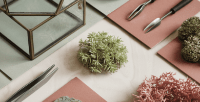 5 Best Gift Ideas for DIY Terrarium Creators in 2025