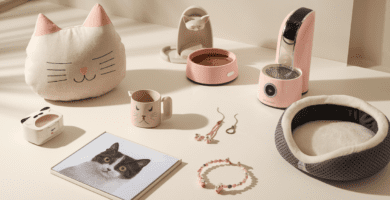 7 Best Gift Ideas for Cat Lovers in 2025